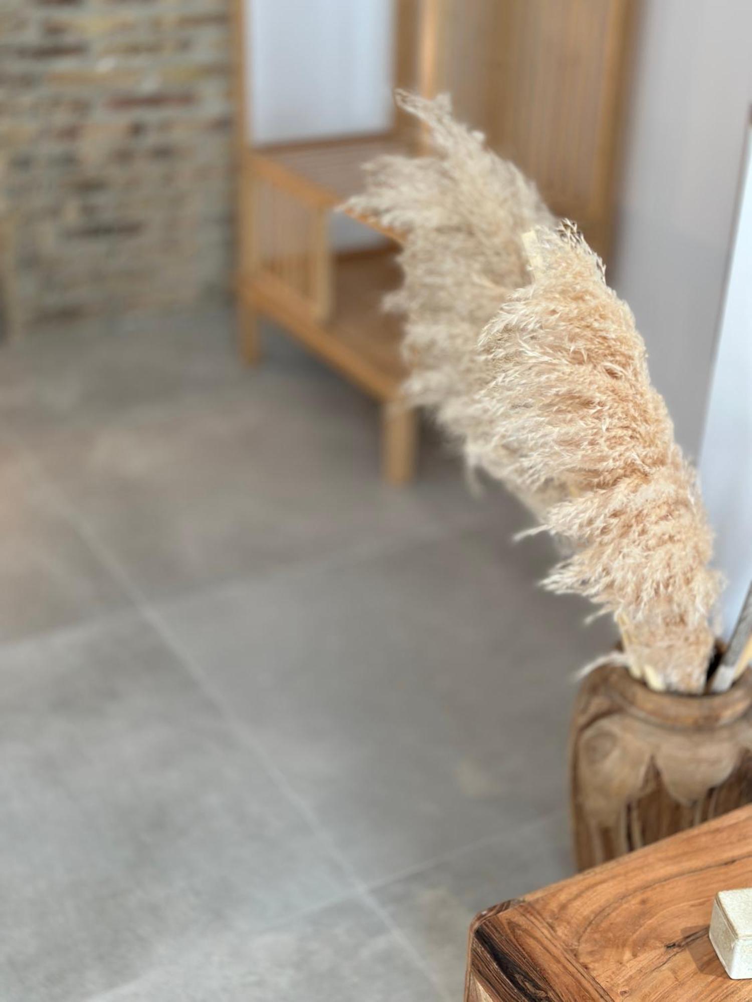 Art Homes Lavadero バレンシア エクステリア 写真